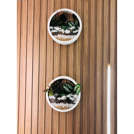 Vaso Redondo de Parede – Terrário Decorativo (Sem Decoração)
