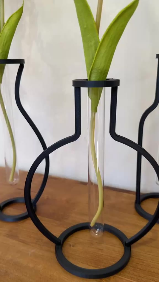 Vaso Minimalista + 2 Hastes de Costela de Adão