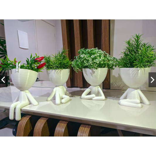 Kit com 4 Vasos Bob Robert – Decoração Criativa para Suculentas