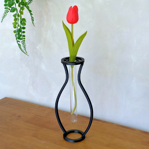 Vaso Minimalista + 2 Hastes de Costela de Adão