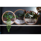 Vaso Redondo de Parede – Terrário Decorativo (Sem Decoração)