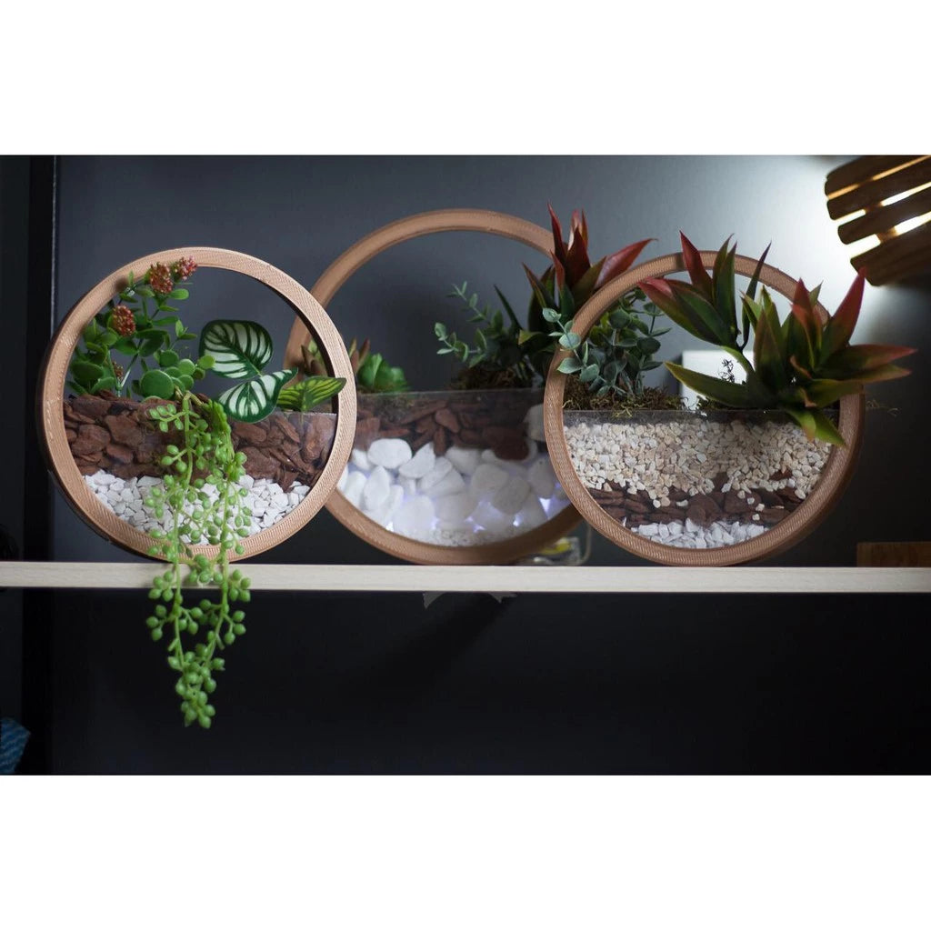 Vaso Redondo de Parede – Terrário Decorativo (Sem Decoração)