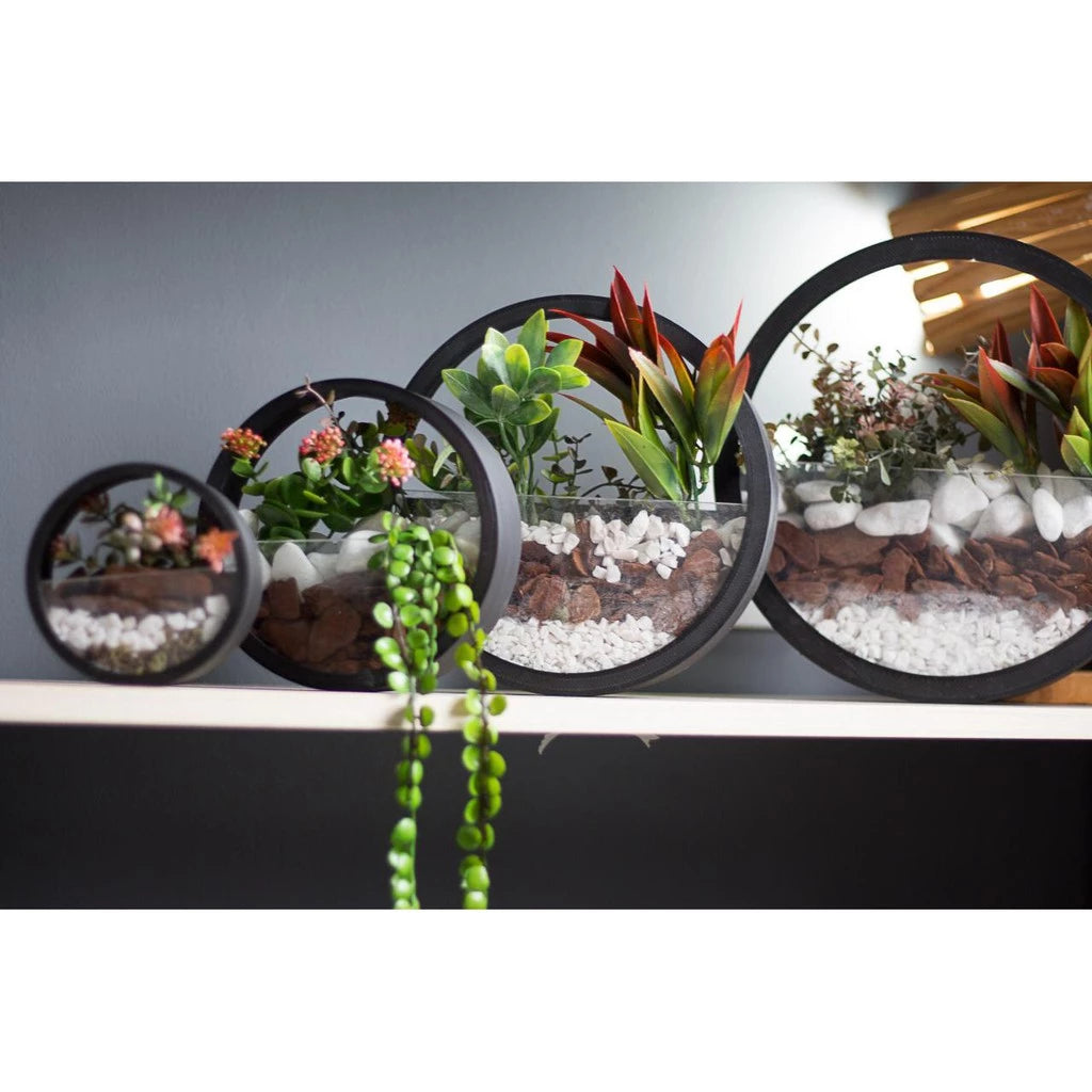 Vaso Redondo de Parede – Terrário Decorativo (Sem Decoração)