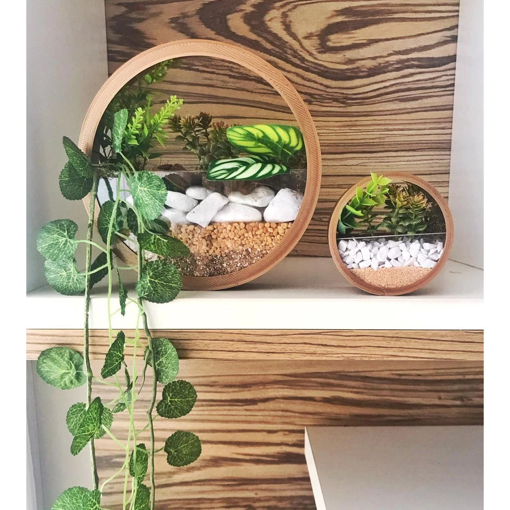 Vaso Redondo de Parede – Terrário Decorativo (Sem Decoração)