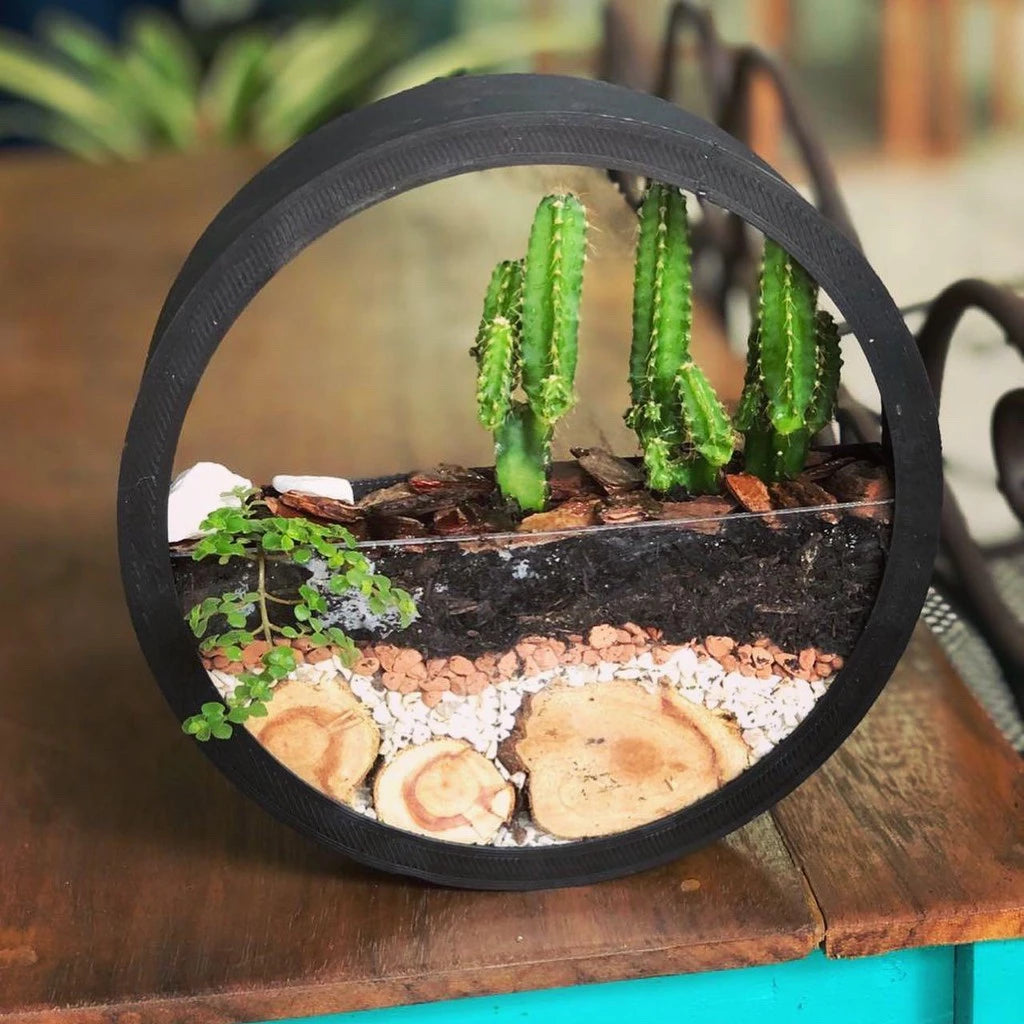 Vaso Redondo de Parede – Terrário Decorativo (Sem Decoração)